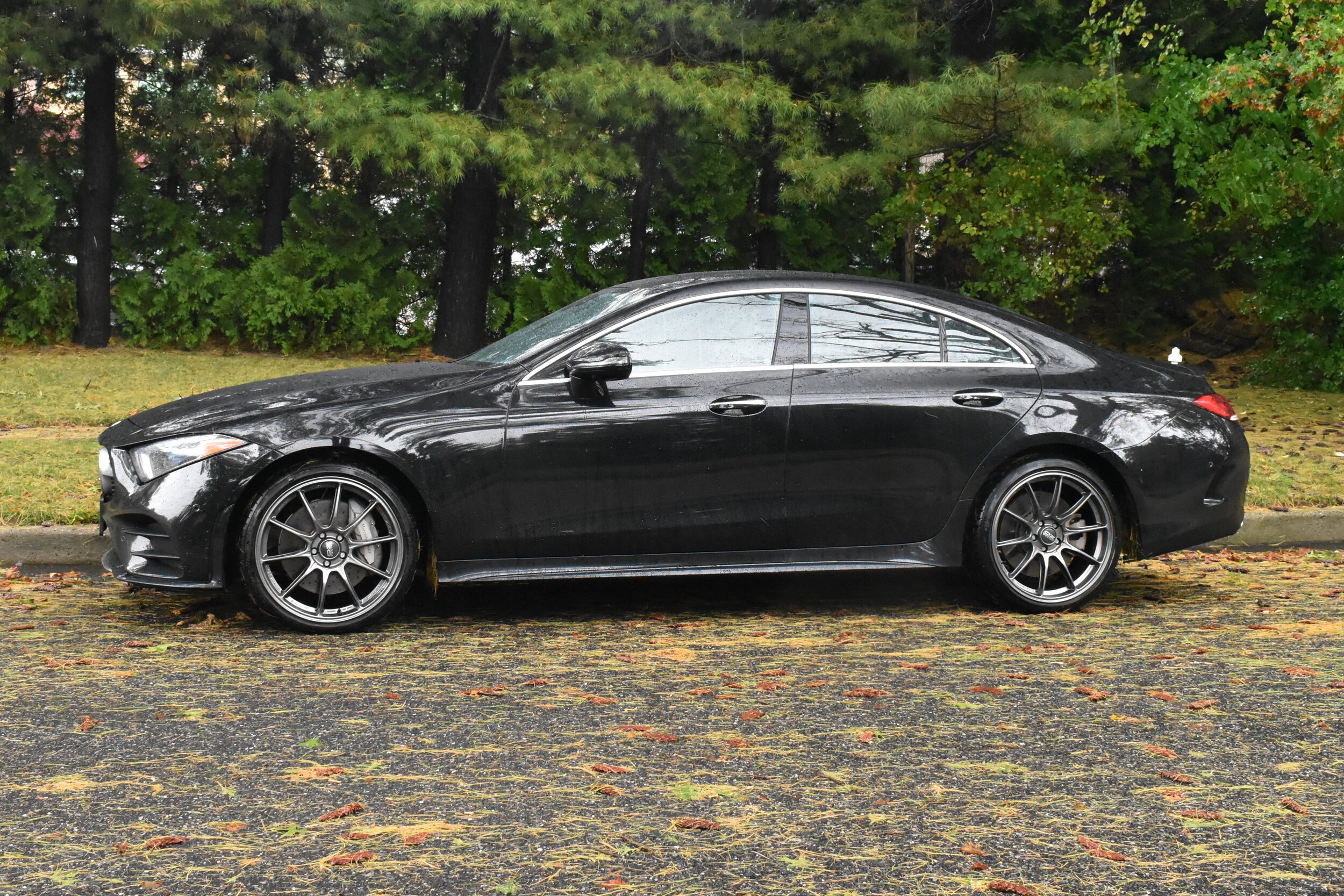 2019 Mercedes Benz CLS 450 4MATIC photo 2