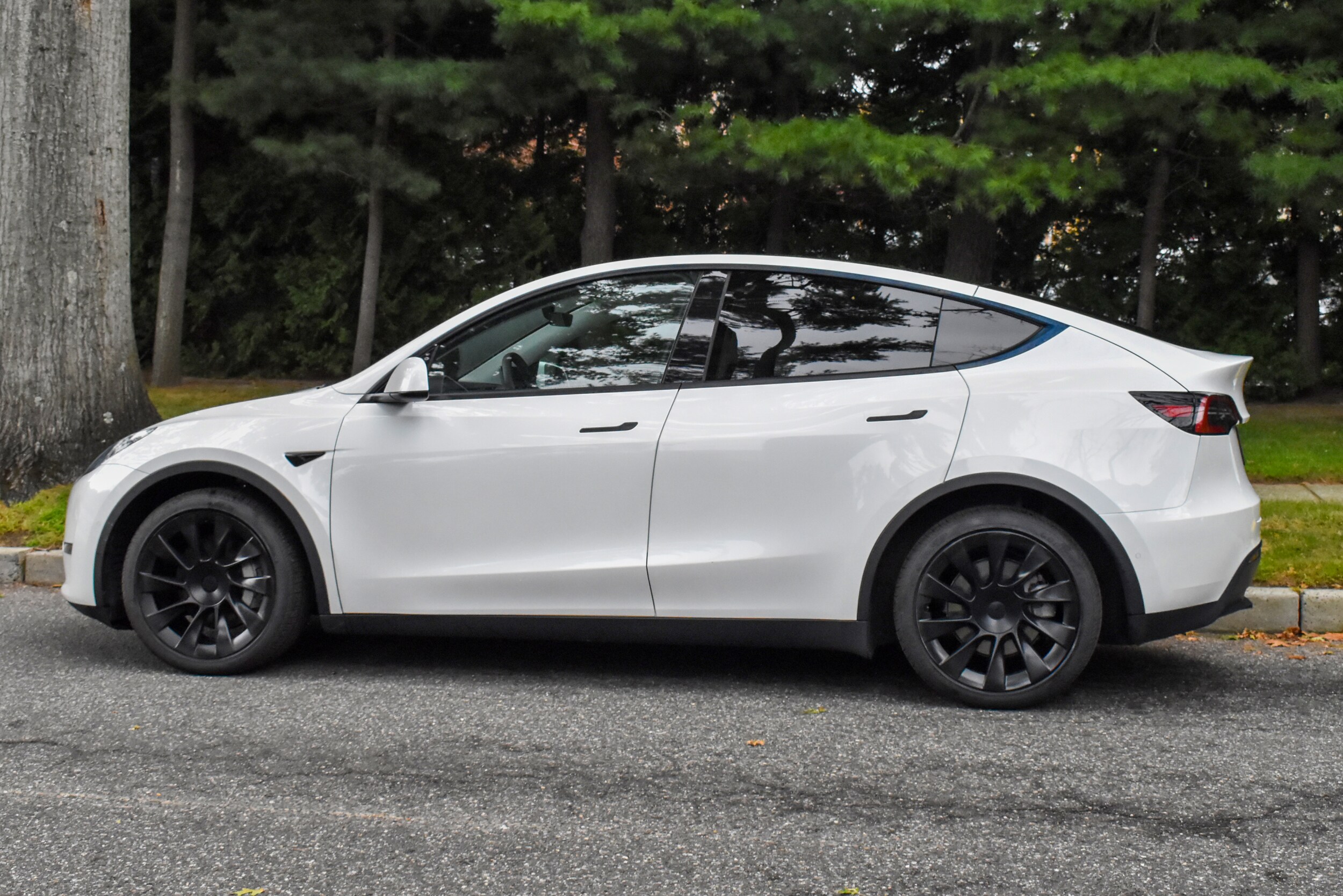 2021 Tesla Model Y Long Range photo 2