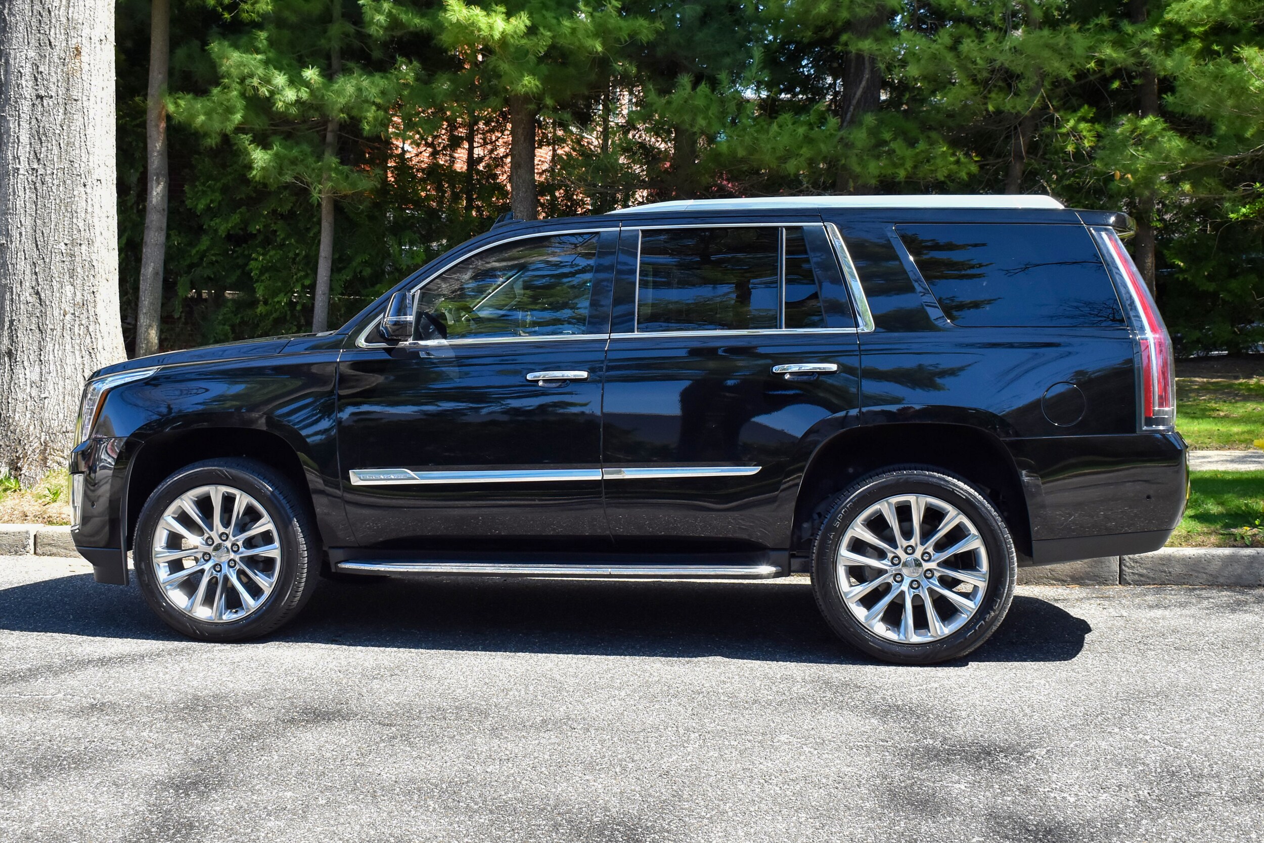 2019 Cadillac Escalade Luxury photo 3