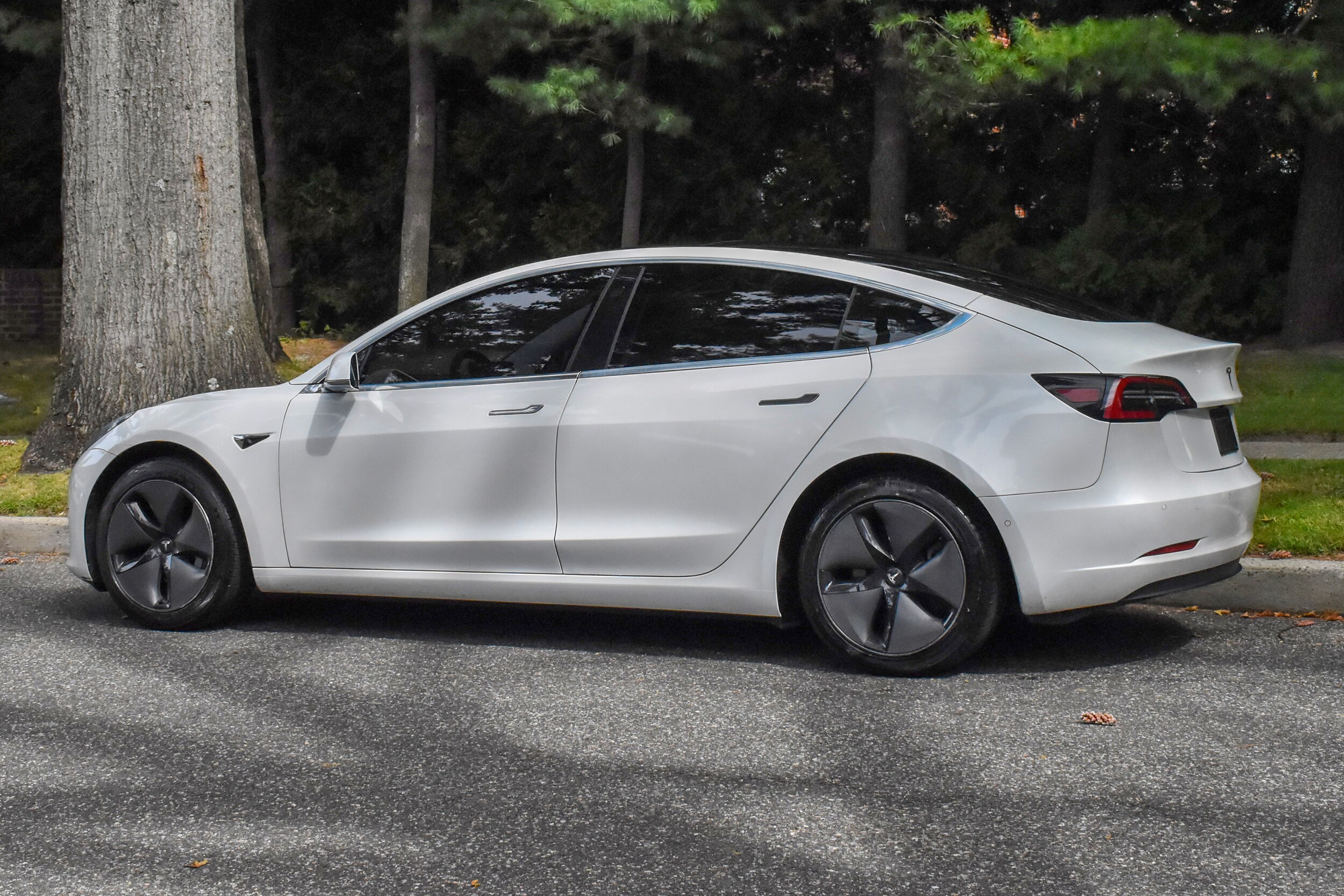 2020 Tesla Model 3 Standard Range Plus photo 3