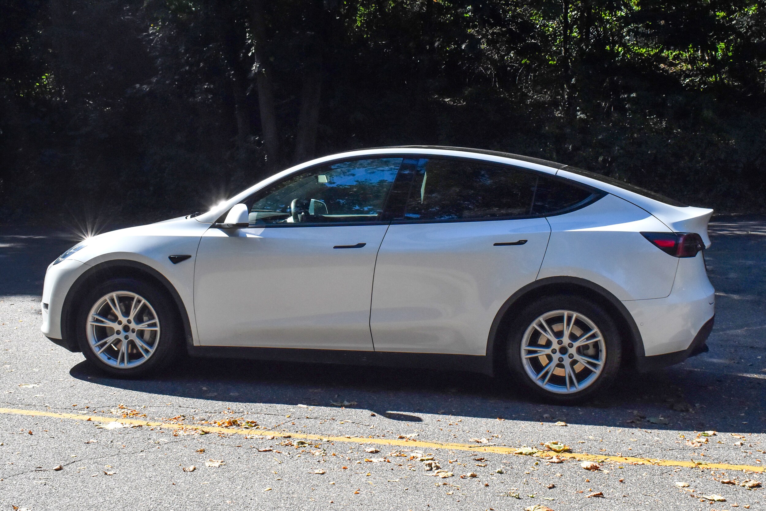 2022 Tesla Model Y Long Range photo 3