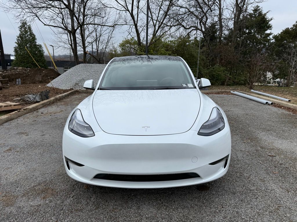 2023 Tesla Model Y Long Range's photo