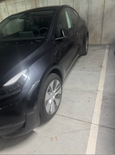 2024 Tesla Model Y Long Range's photo