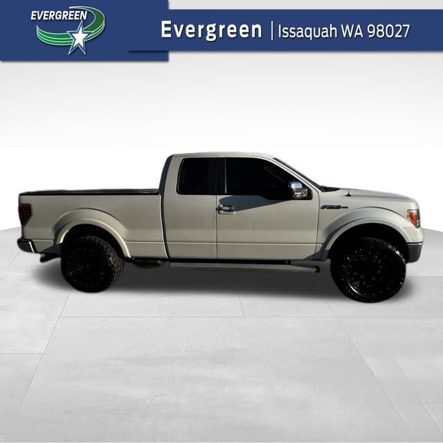 2010 Ford F-150's photo