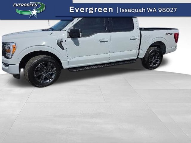 2023 Ford F-150 XLT 4x4 SuperCrew 145 in's photo