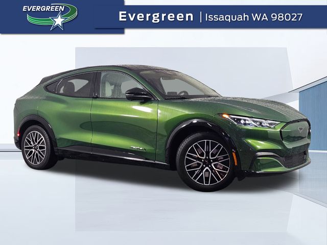 2024 Ford Mustang-Mach-e Premium's photo