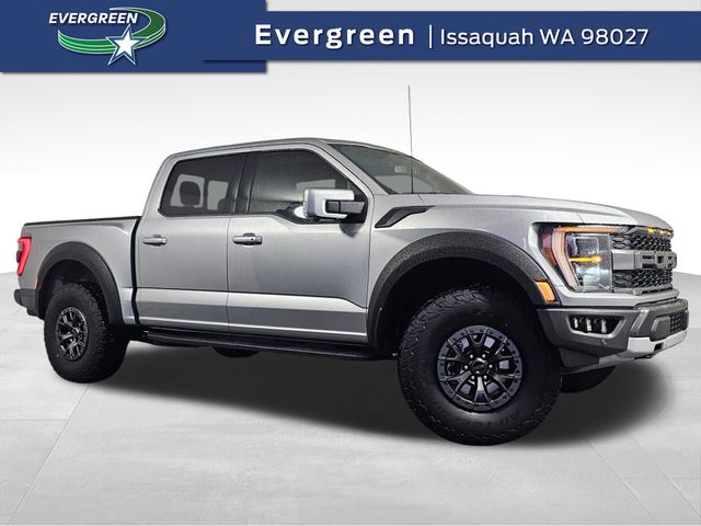 2022 Ford F-150 Raptor's photo