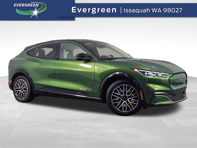 2024 Ford Mustang Mach-E Premium RWD's photo