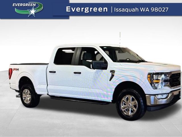 2023 Ford F-150 XLT 4x4 SuperCrew 157 in's photo