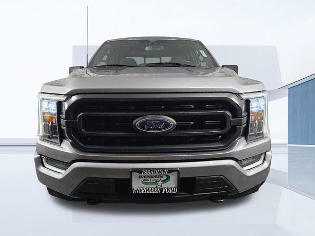 2022 Ford F-150 XLT photo 2