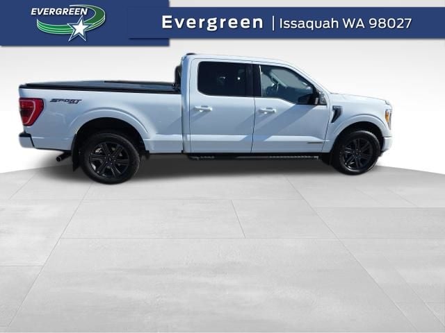 2023 Ford F-150 XLT 4x4 SuperCrew 157 in's photo
