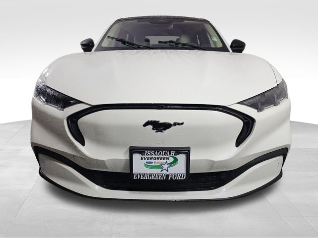 Certified 2025 Ford Mustang Mach-E Premium RWD with VIN 3FMTK3R75SMA06087 for sale in Issaquah, WA