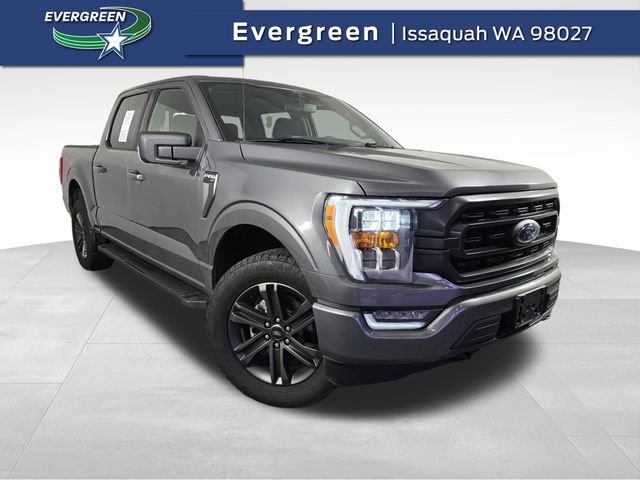 2021 Ford F-150 XLT's photo