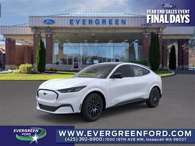 2025 Ford Mustang Mach-E Premium AWD's photo