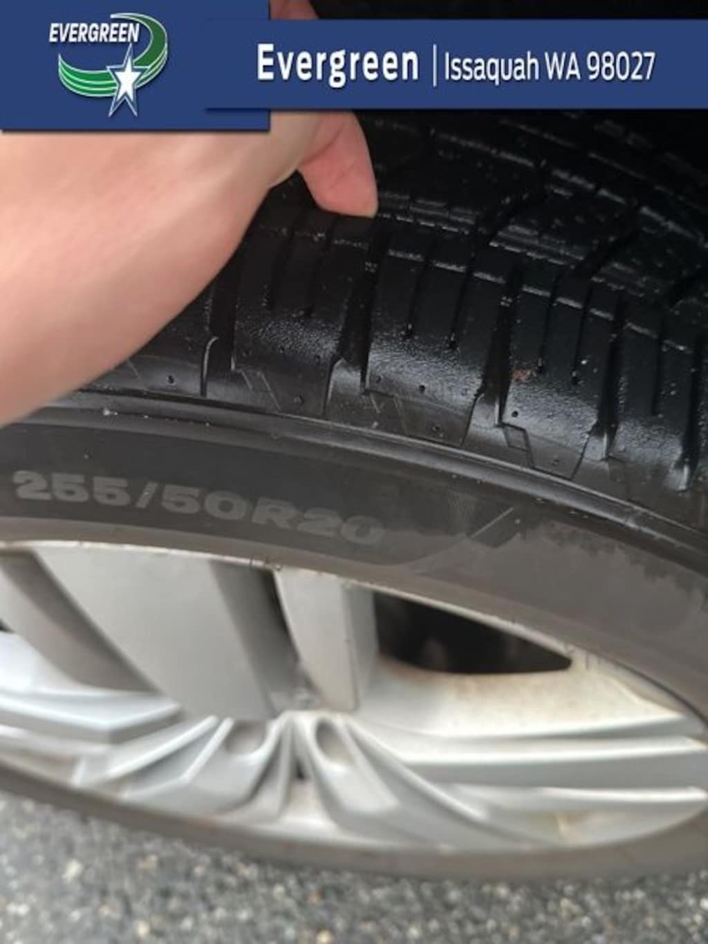 Used 2019 Volkswagen Atlas 3.6L V6 SE SUV