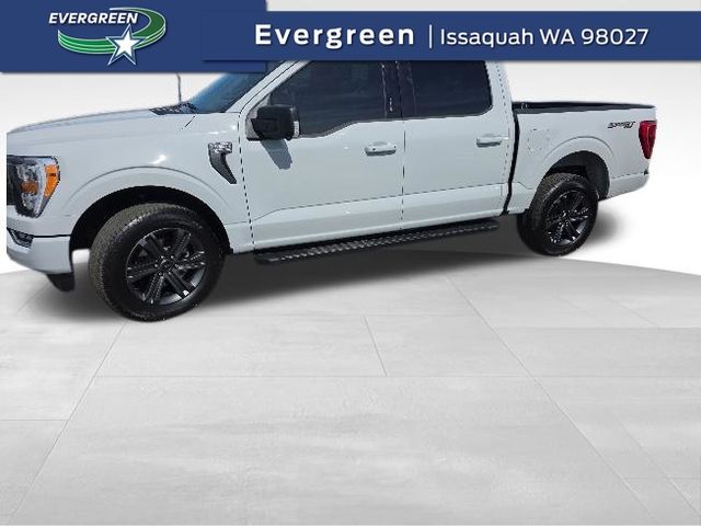2023 Ford F-150 XLT 4x4 SuperCrew 145 in's photo