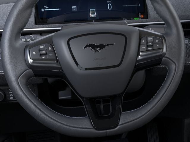 2025 Ford Mustang Mach-E GT - Photo 12