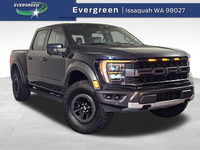 2023 Ford F-150 Raptor's photo