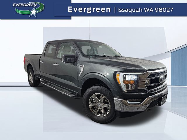 2021 Ford F-150 XLT's photo