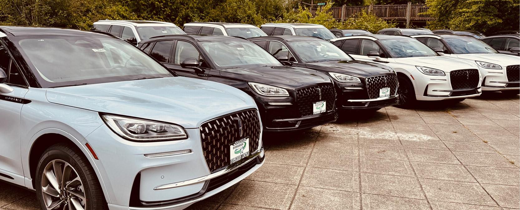 Lincolns