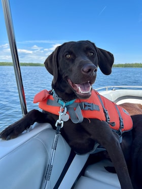 Staff member Timber from 377d723b1f6a