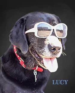 Staff member Lucy Ball from 377d723b1f6a