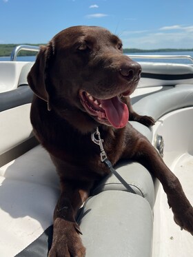 Staff member Canyon from 377d723b1f6a