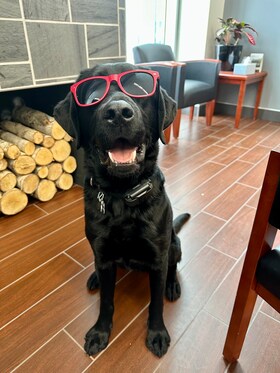 Staff member Murray from 377d723b1f6a