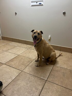 Staff member Sawyer from 377d723b1f6a