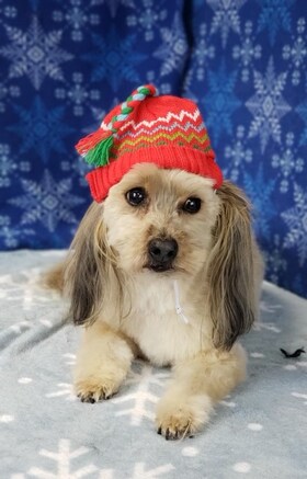 Staff member Cali from 377d723b1f6a