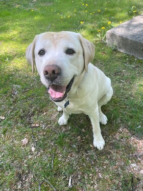 Staff member Charlie from 377d723b1f6a