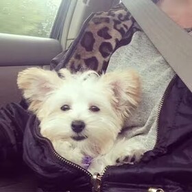 Staff member Honey from ID_60ecf8