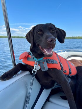 Staff member Timber from ID_60ecf8