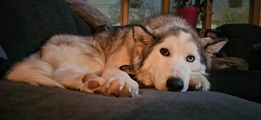 Staff member Bree from 377d723b1f6a