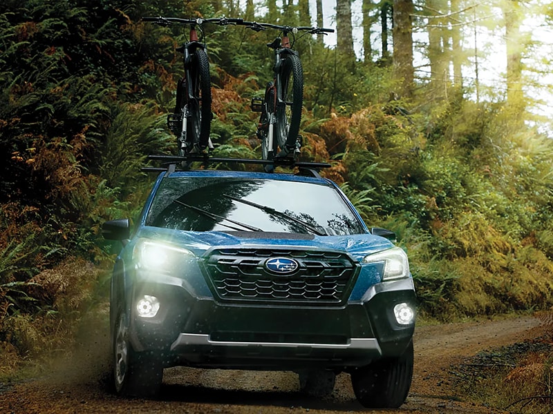 Forester-Hybrid.png