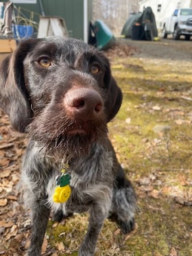 Staff member Otto from 377d723b1f6a