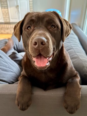 Staff member Skye from 377d723b1f6a