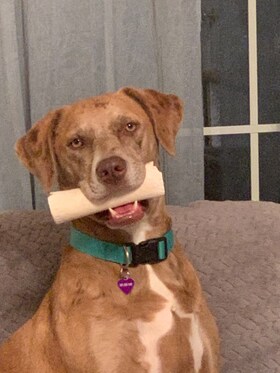 Staff member Coco from 377d723b1f6a