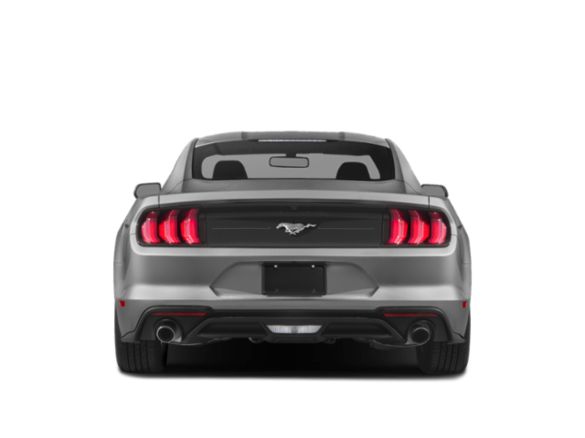 2019-Ford-mustang-grey-back.png Ford Mustang