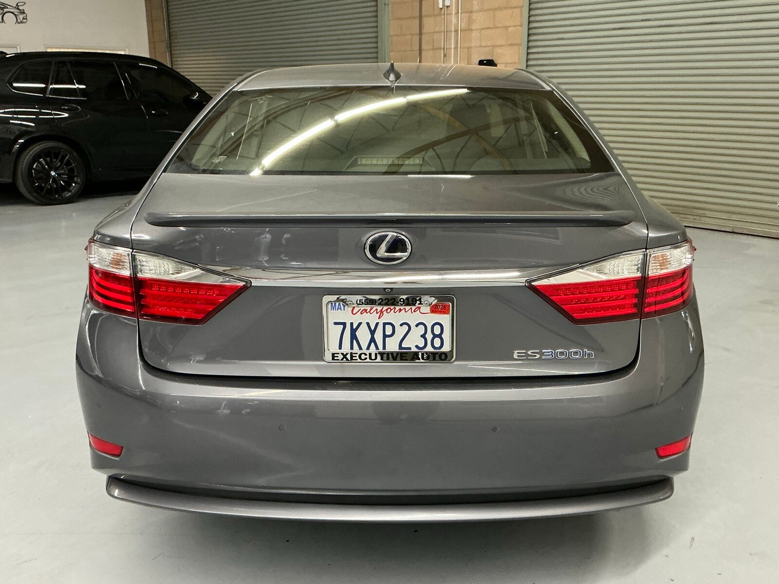 2015 Lexus ES 300h photo 2