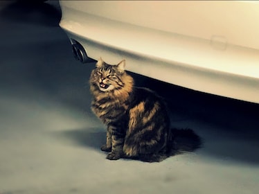 Staff member Zombie from 502a5284c948