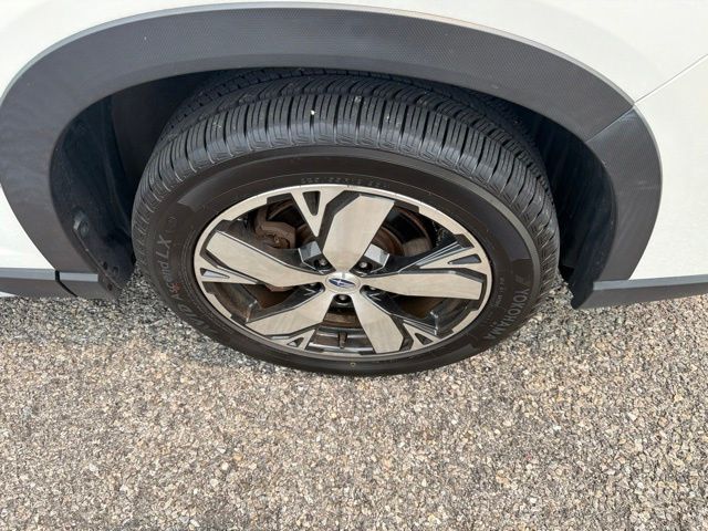 Photo 19