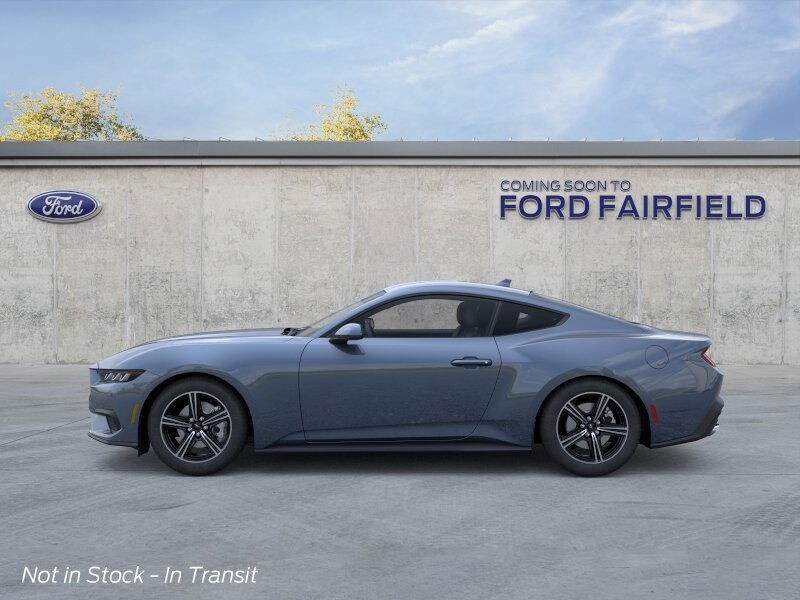 2025 Ford Mustang EcoBoost photo 3