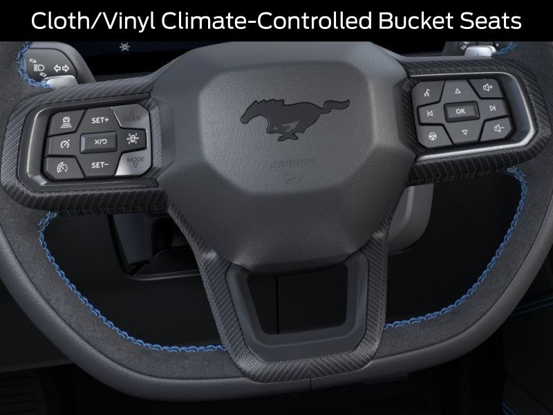 2025 Ford Mustang Dark Horse - Photo 14