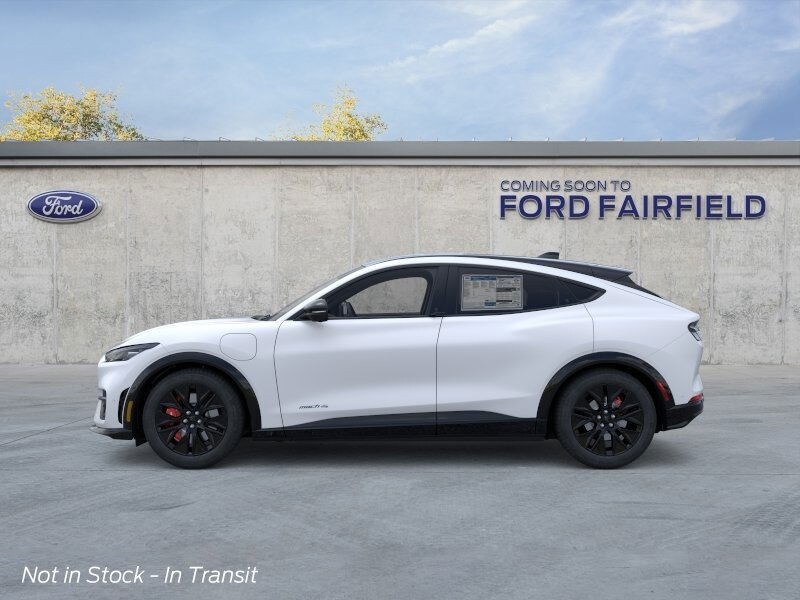 2025 Ford Mustang Mach-E Premium photo 2