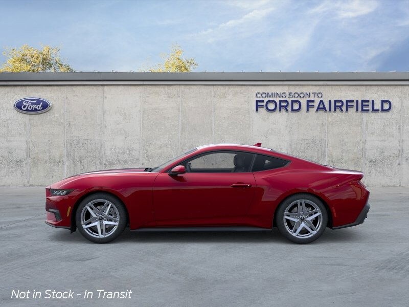 2025 Ford Mustang EcoBoost photo 3
