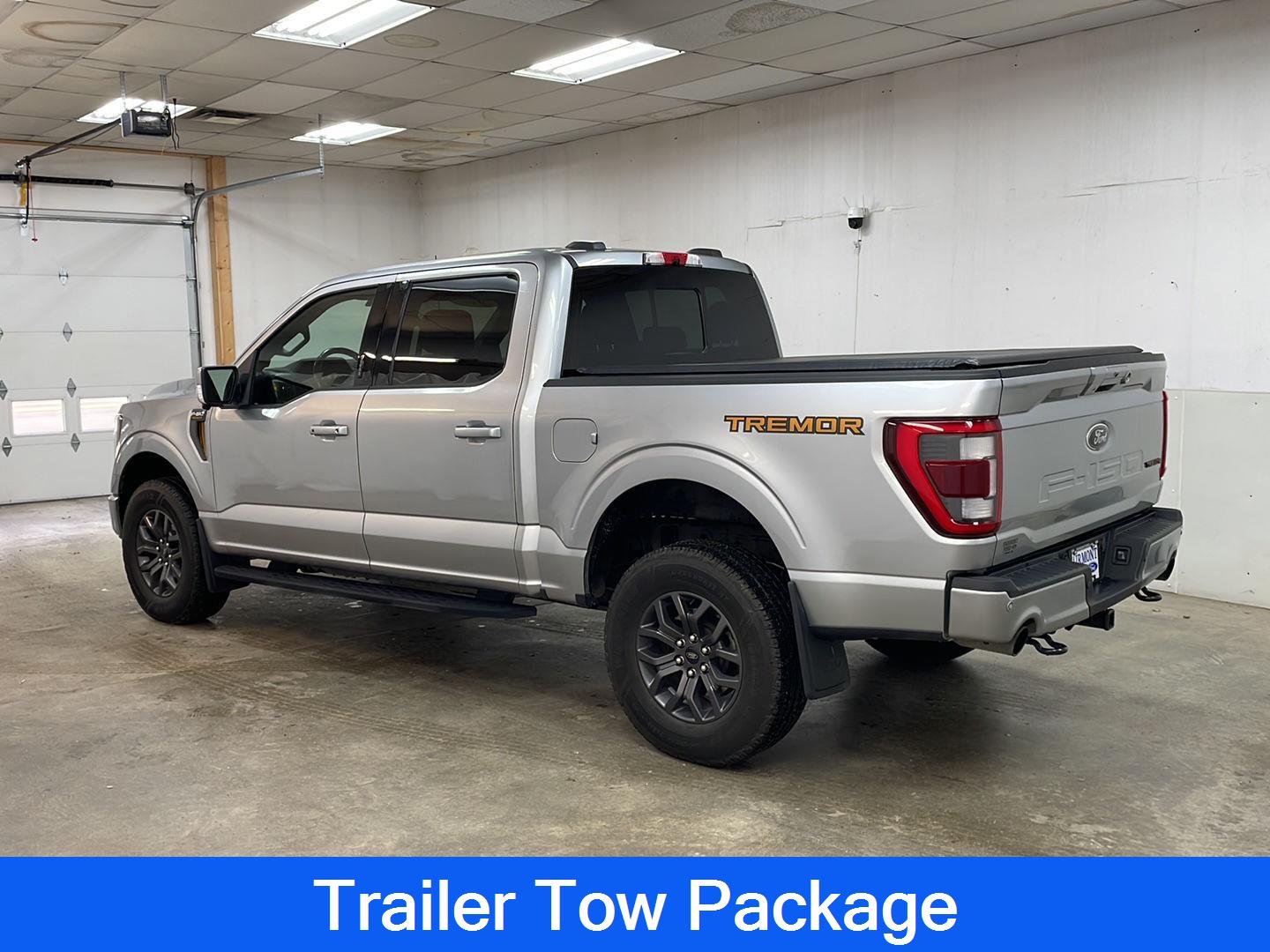 Used 2022 Ford F-150 Tremor with VIN 1FTEW1E81NFC23824 for sale in Fairmont, Minnesota