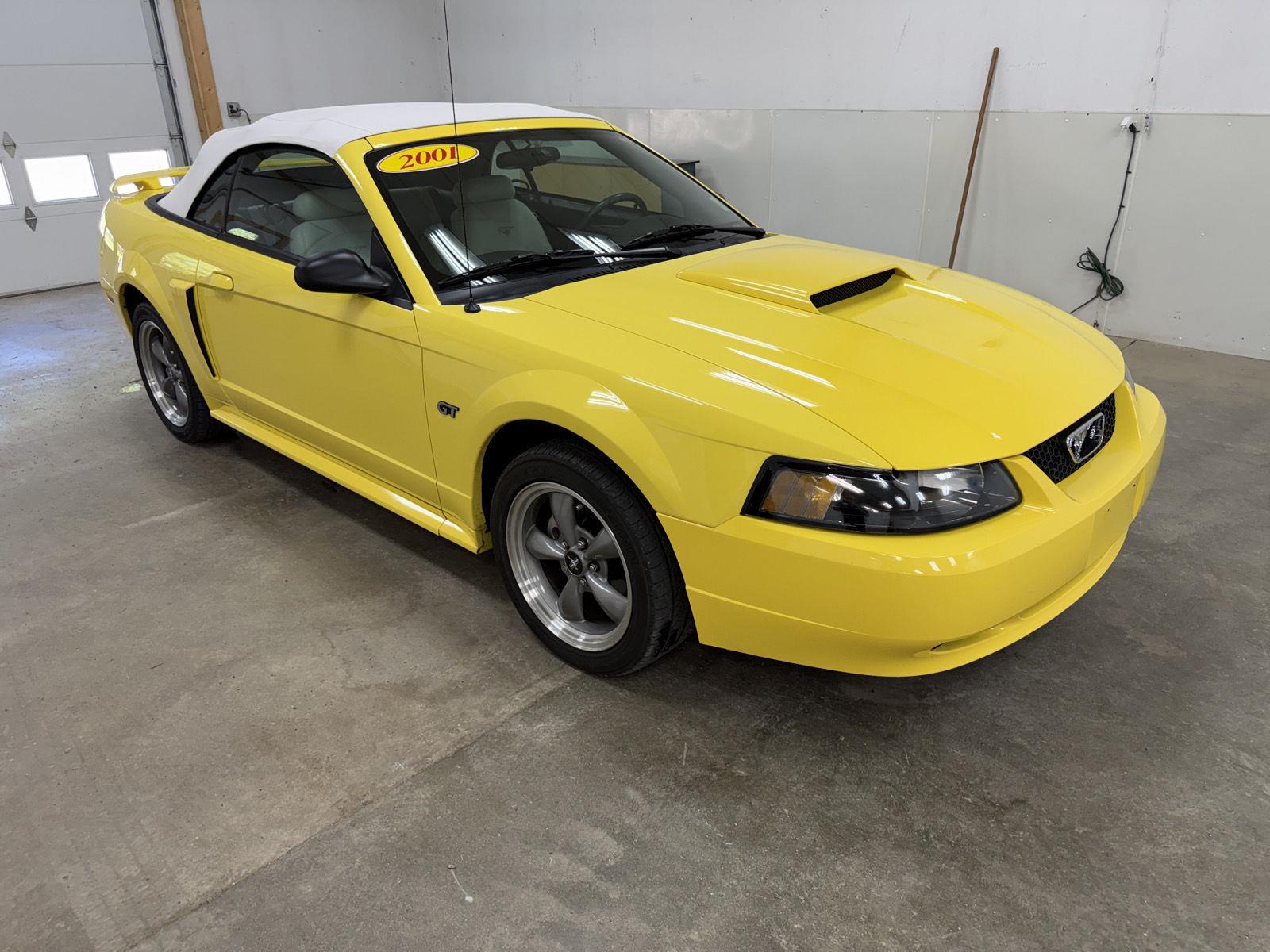 Used 2001 Ford Mustang GT with VIN 1FAFP45X21F116100 for sale in Fairmont, Minnesota