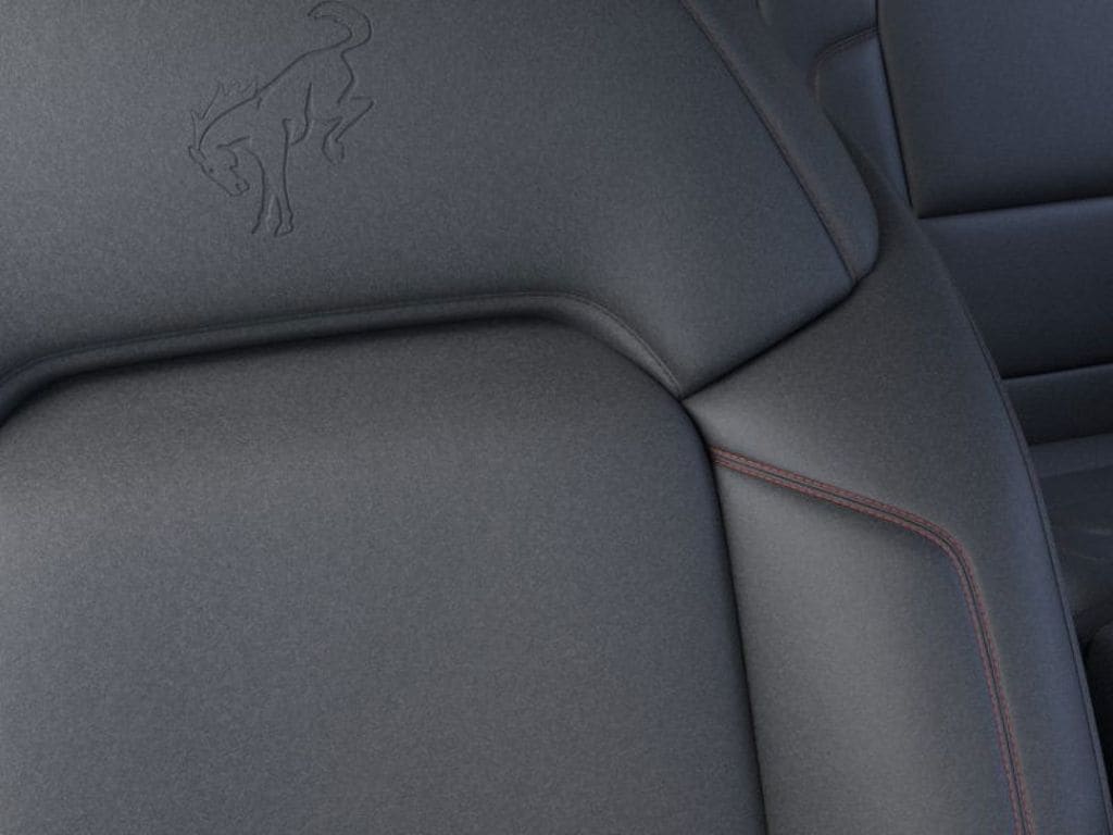 2025 Ford Bronco 2-Door Stroppe - Photo 19