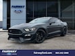 Ford Mustang Shelby